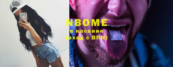 шишки Аркадак