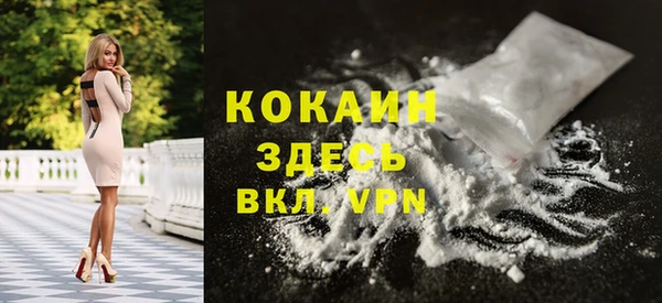 шишки Аркадак
