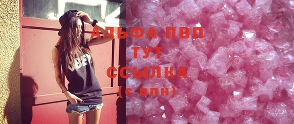 шишки Аркадак