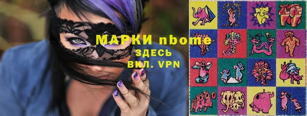 шишки Аркадак