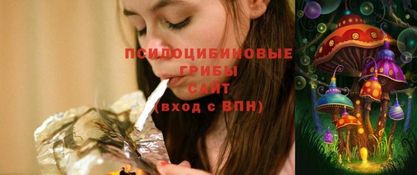 экстази Арсеньев