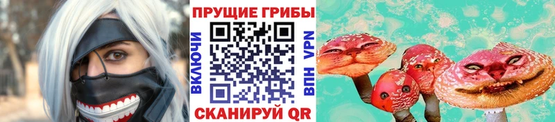 Псилоцибиновые грибы GOLDEN TEACHER Туринск